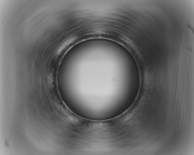 X0000100410826200806131034