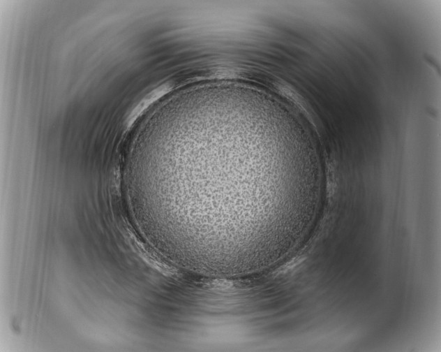 X0000100410827200806131034