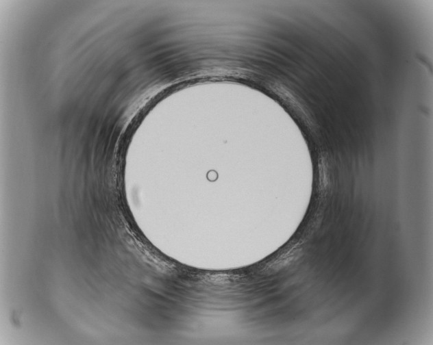 X0000100410828200806131034