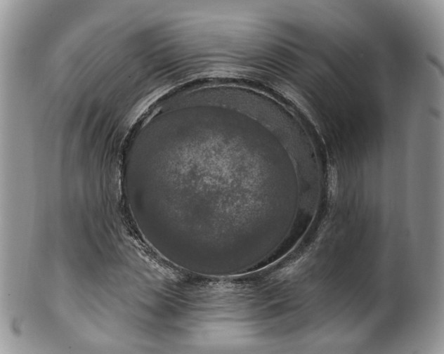 X0000100410829200806131034