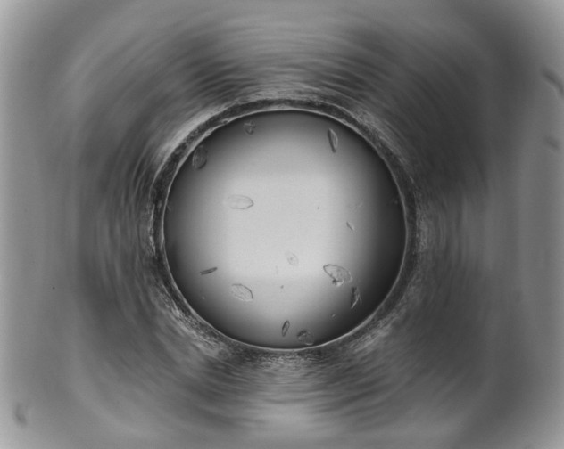 X0000100410830200806131034