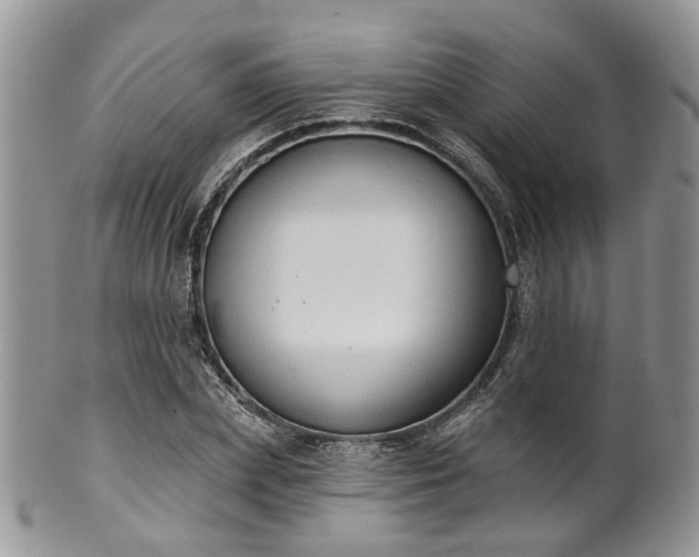 X0000100410831200806131034