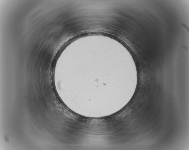 X0000100410832200806131034