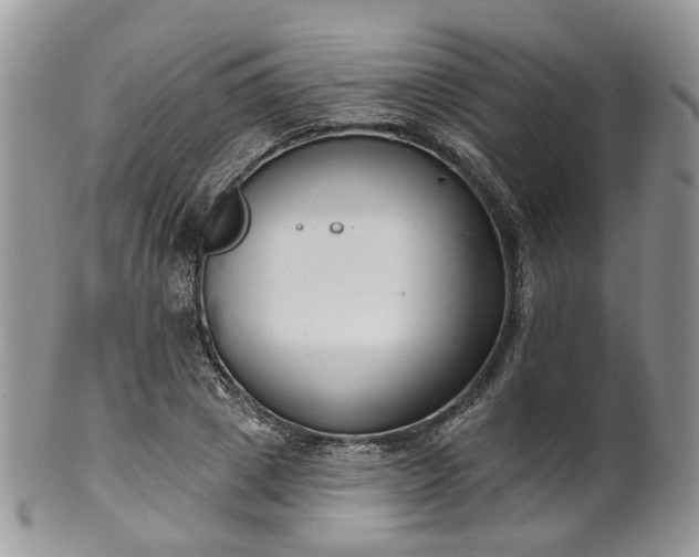 X0000100410833200806131034