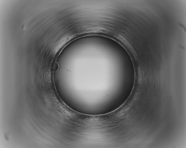 X0000100410834200806131034