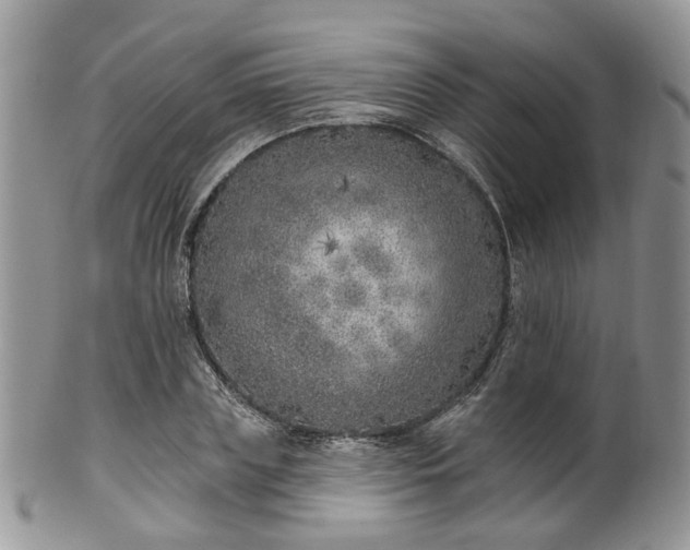 X0000100410835200806131034