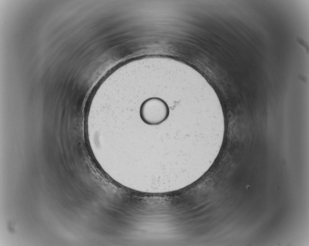 X0000100410836200806131034