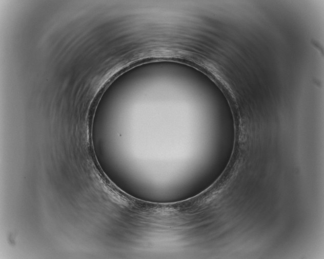 X0000100410837200806131034