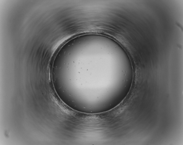 X0000100410838200806131034