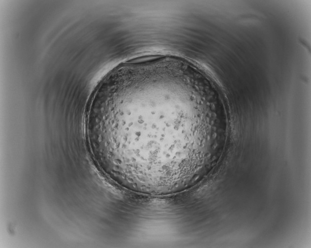 X0000100410839200806131034