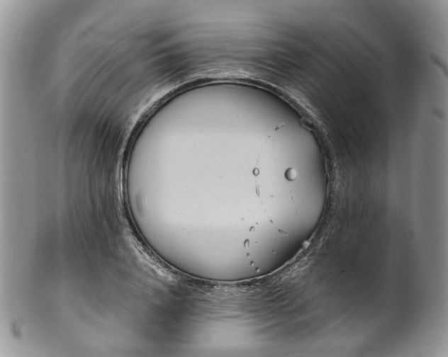 X0000100410840200806131034