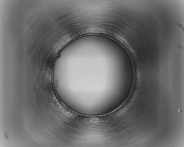 X0000100410841200806131034