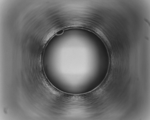 X0000100410842200806131034