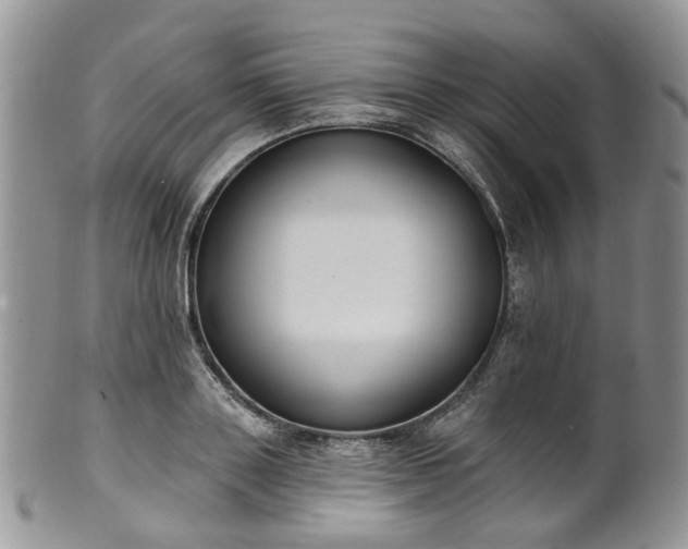 X0000100410843200806131034