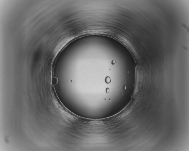 X0000100410844200806131034