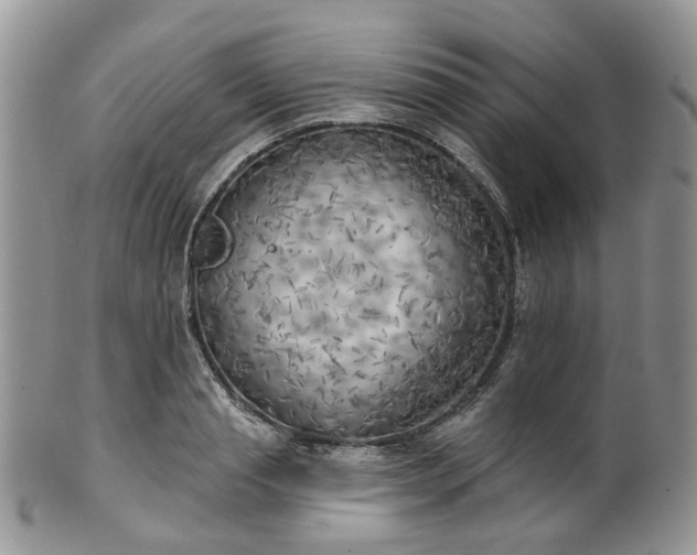 X0000100410845200806131034