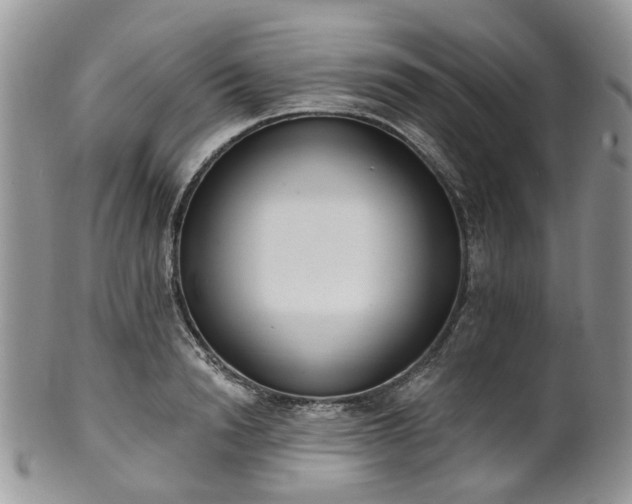 X0000100410846200806131034