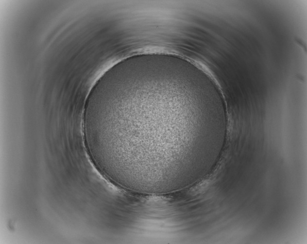 X0000100410847200806131034