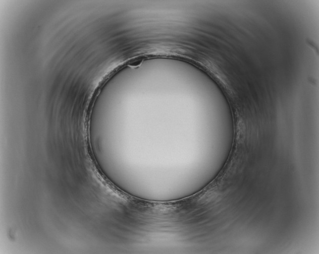 X0000100410848200806131034