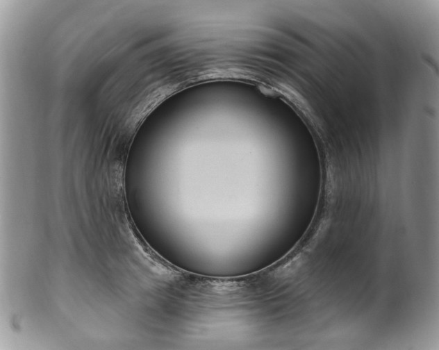 X0000100410849200806131034