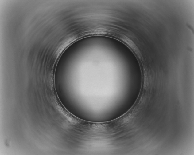 X0000100410850200806131034