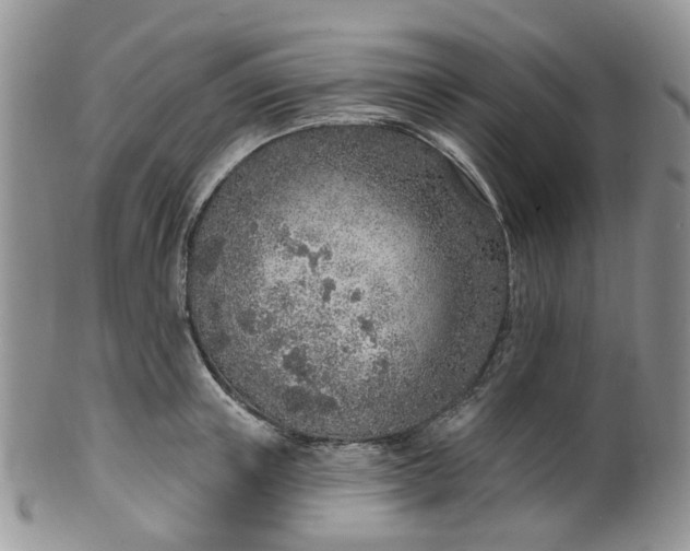 X0000100410851200806131034