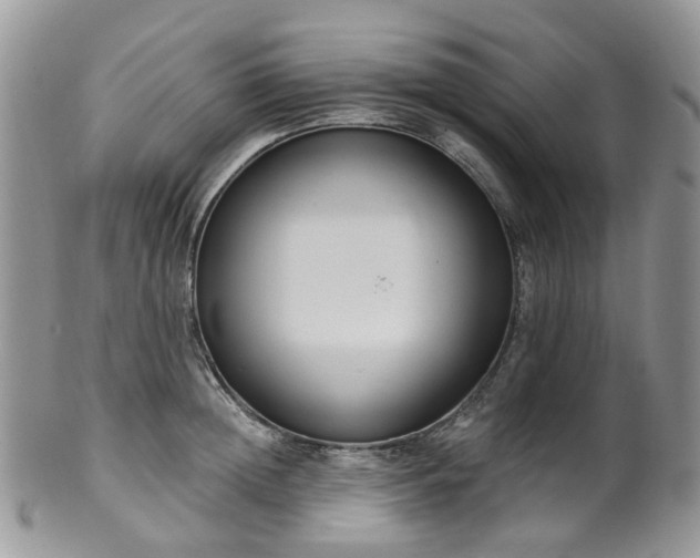 X0000100410852200806131034