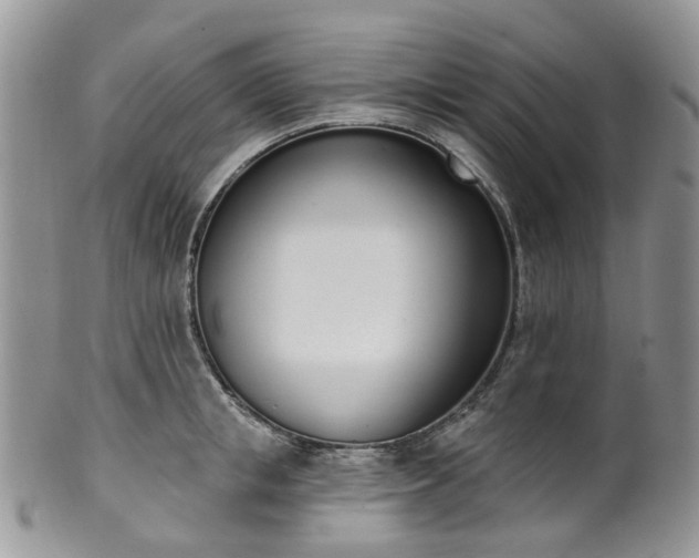 X0000100410853200806131034