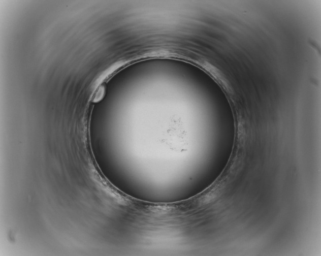 X0000100410854200806131034