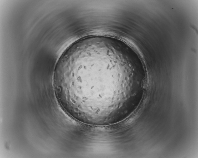 X0000100410855200806131034