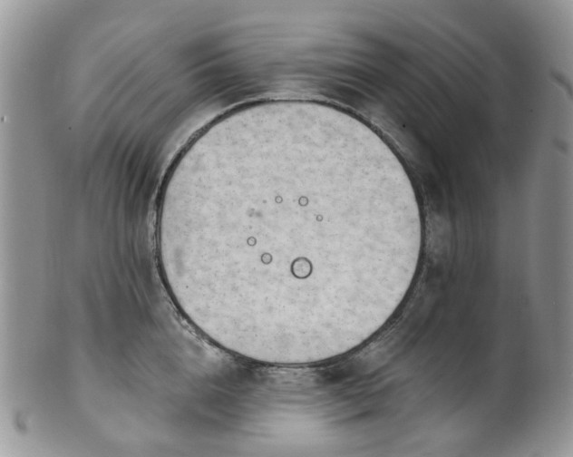 X0000100410856200806131034