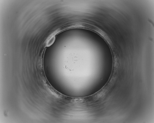 X0000100410858200806131034