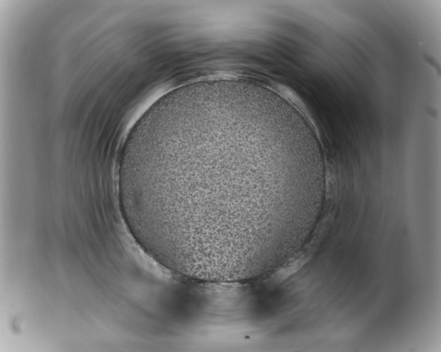 X0000100410859200806131034