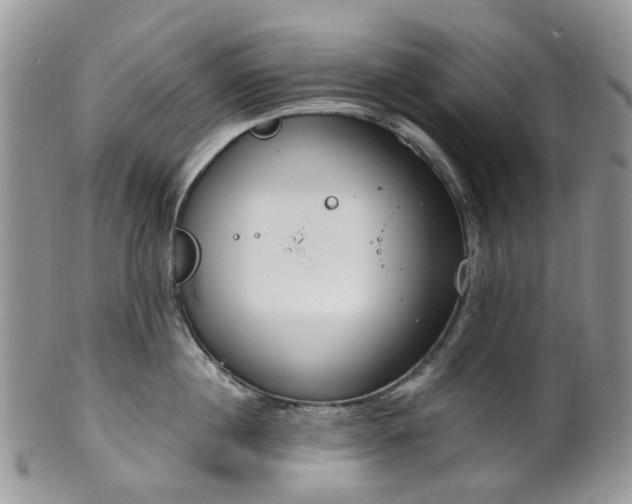 X0000100410860200806131034