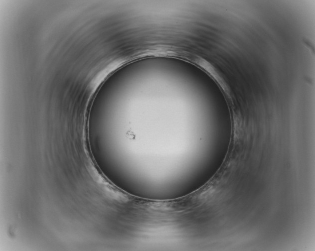 X0000100410861200806131034