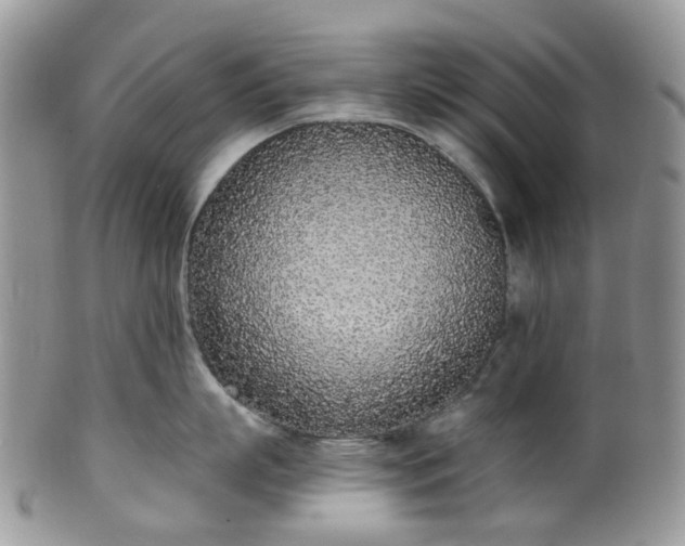 X0000100410863200806131034