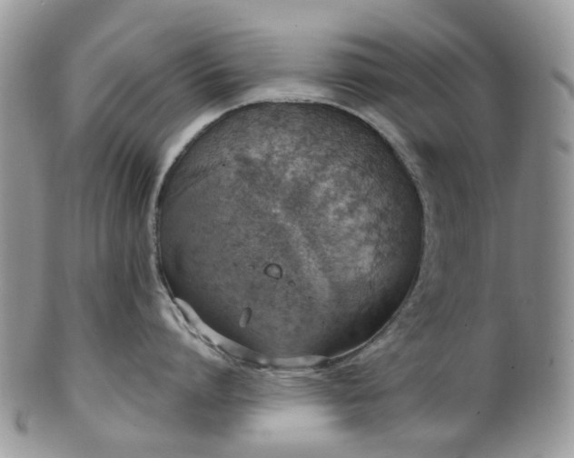 X0000100410864200806131034