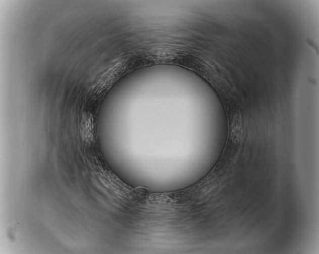 X0000100410866200806131034