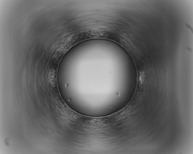 X0000100410867200806131034