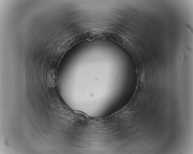 X0000100410868200806131034