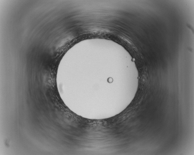 X0000100410869200806131034