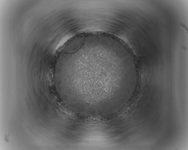 X0000100410871200806131034