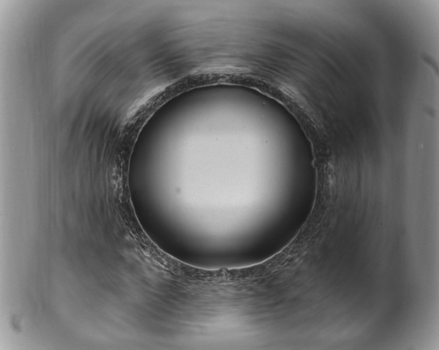 X0000100410872200806131034