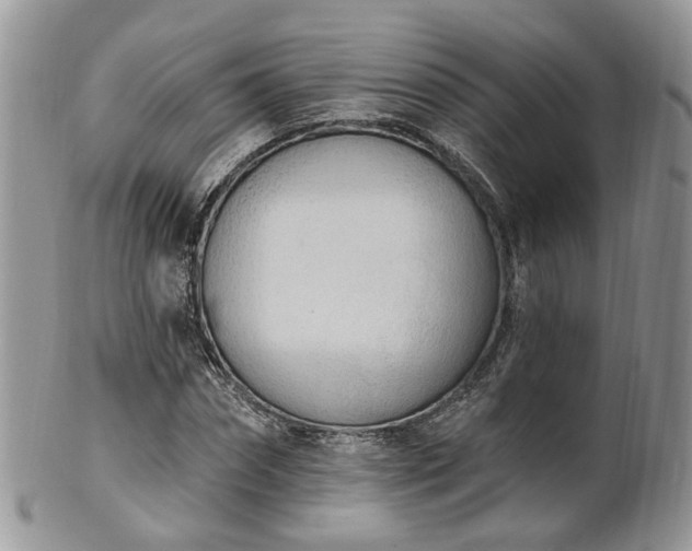 X0000100410874200806131033