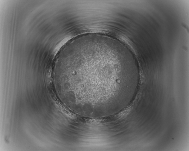 X0000100410875200806131033