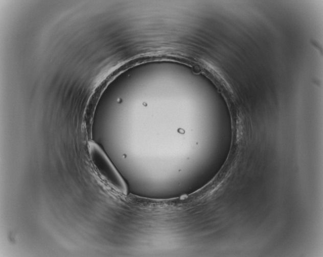 X0000100410876200806131033