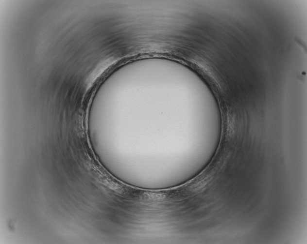 X0000100410878200806131033