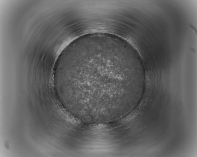 X0000100410879200806131033