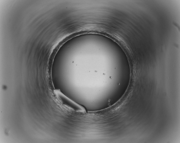 X0000100410880200806131033