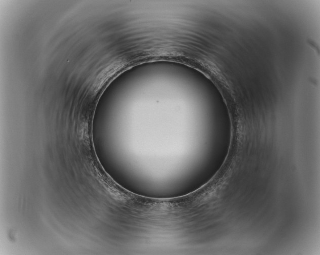 X0000100410881200806131033